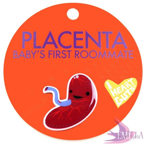 Méhlepény kitűző - Baby's First Roommate