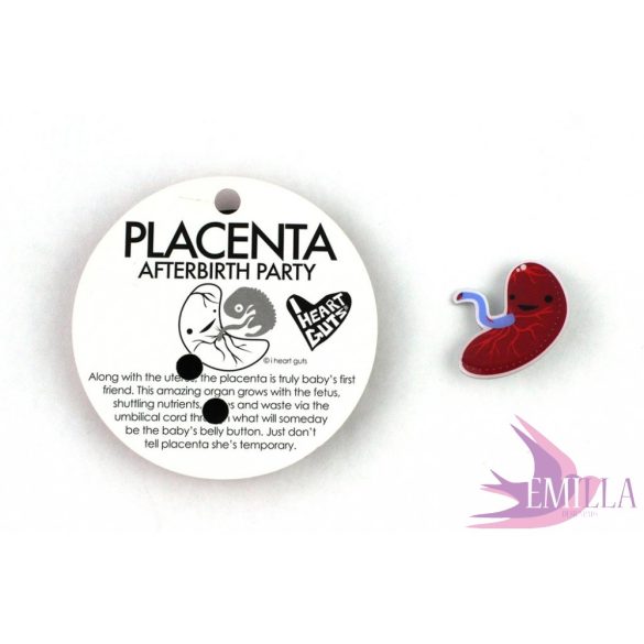 Méhlepény kitűző - Baby's First Roommate