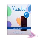 Merula - Limited Turquoise Original 