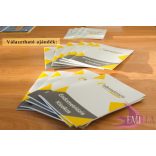 Salamon Adrienn - Dr. Bokor Attila: Eltűnt napok - Könyv az endometriózisról