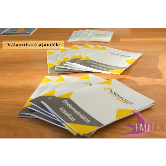 Salamon Adrienn - Dr. Bokor Attila: Eltűnt napok - Könyv az endometriózisról