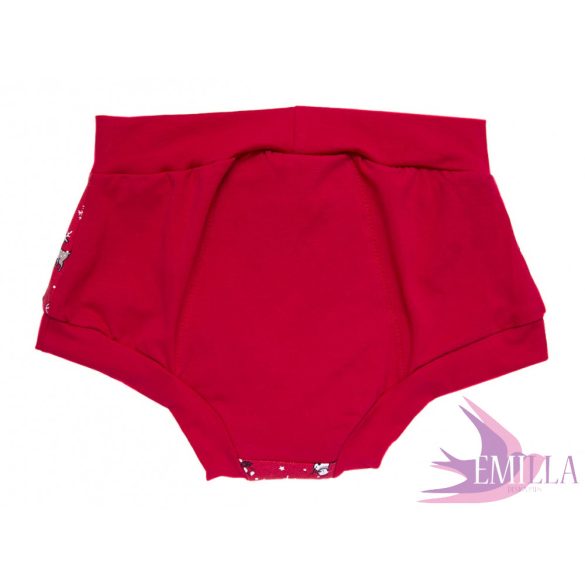 Ho-Ho-Ho menstruációs bugyi XL