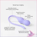 Perifit PLUS - Lila változat