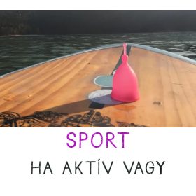 FEE Sportkelyhei